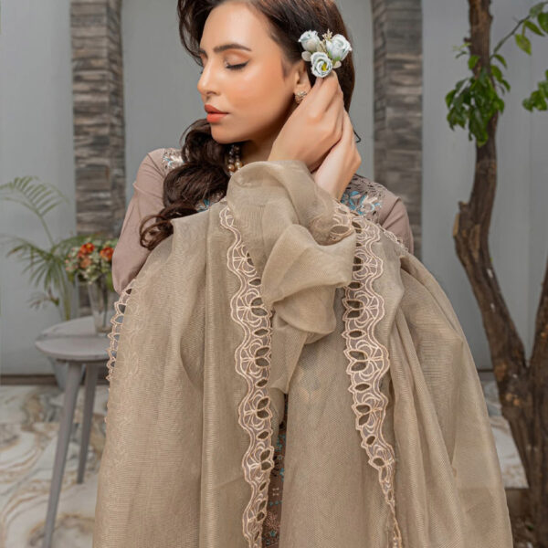 Light Brown | 3pcs Embrioded suit