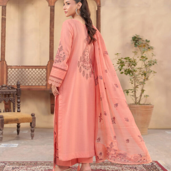 Peach | 3pcs Embrioded suit